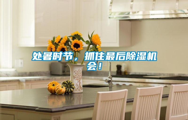 處暑時節，抓住最后除濕機會！