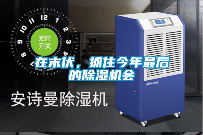 在末伏，抓住今年最后的除濕機會