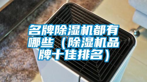 名牌除濕機都有哪些(除濕機品牌十佳排名)
