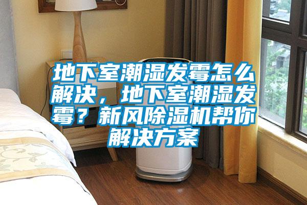 地下室潮濕發霉怎么解決，地下室潮濕發霉？新風除濕機幫你解決方案