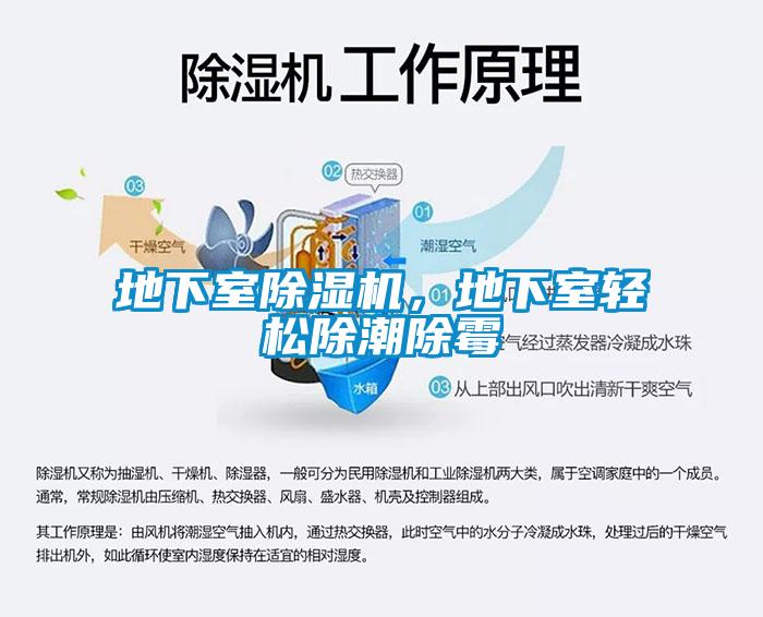 地下室除濕機，地下室輕松除潮除霉