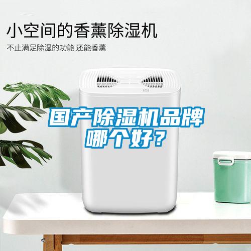 國產除濕機品牌哪個好？