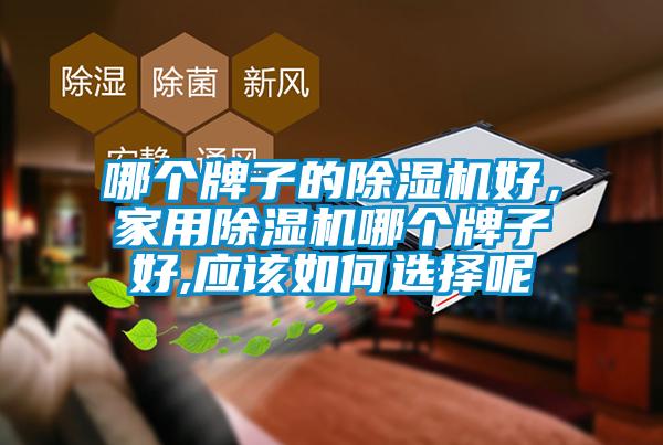 哪個牌子的除濕機好，家用除濕機哪個牌子好,應該如何選擇呢