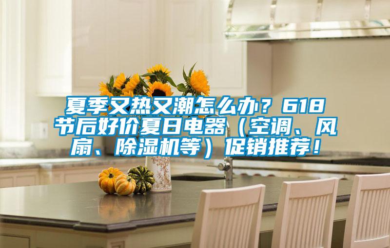 夏季又熱又潮怎么辦？618節后好價夏日電器（空調、風扇、除濕機等）促銷推薦！