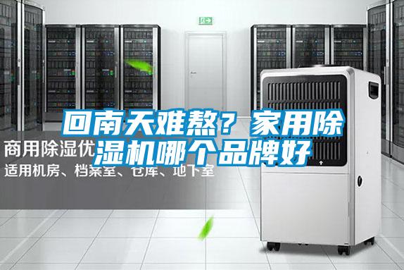回南天難熬？家用除濕機哪個品牌好