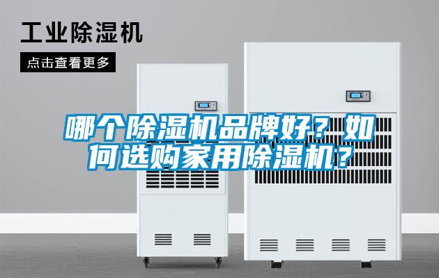 哪個除濕機品牌好？如何選購家用除濕機？