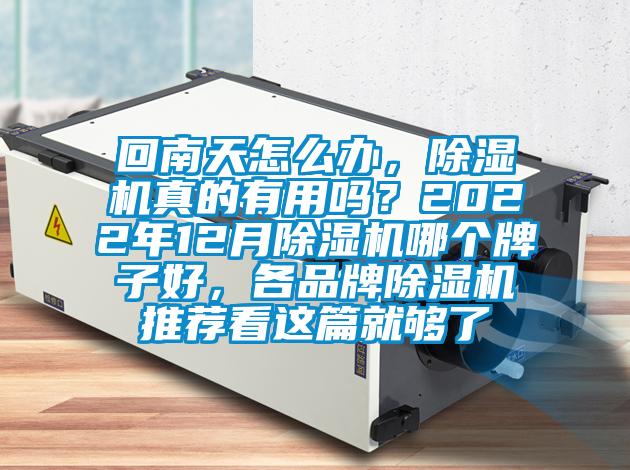 回南天怎么辦，除濕機真的有用嗎？2022年12月除濕機哪個牌子好，各品牌除濕機推薦看這篇就夠了