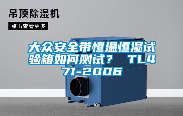 大眾安全帶恒溫恒濕試驗箱如何測試？ TL471-2006