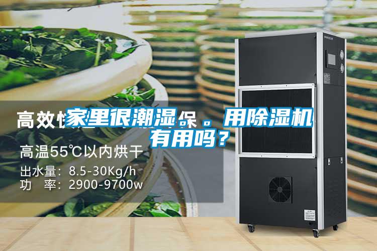 家里很潮濕。。用除濕機有用嗎？