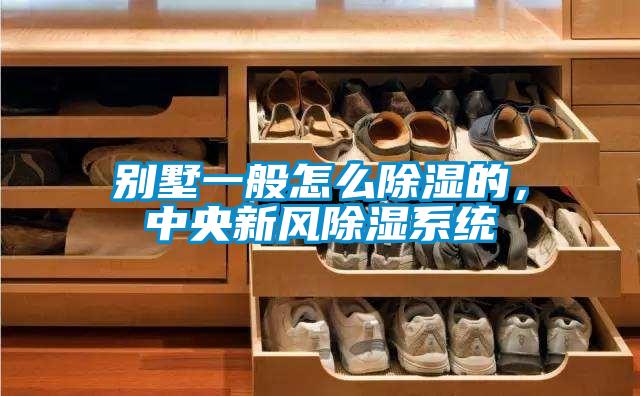 別墅一般怎么除濕的，中央新風除濕系統