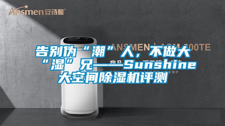告別偽“潮”人，不做大“濕”兄——Sunshine大空間除濕機評測