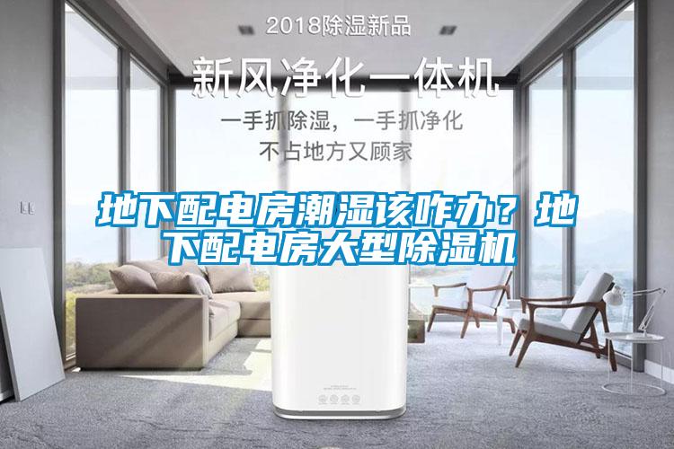 地下配電房潮濕該咋辦？地下配電房大型除濕機