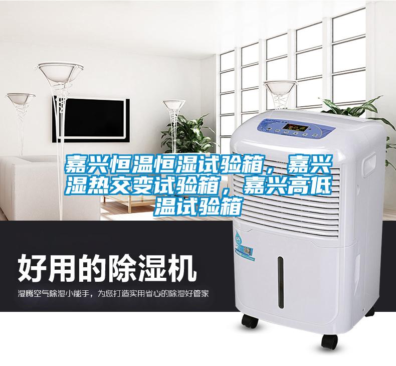 嘉興恒溫恒濕試驗箱，嘉興濕熱交變試驗箱，嘉興高低溫試驗箱