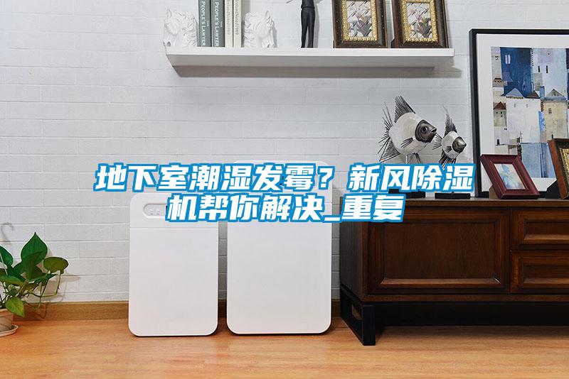 地下室潮濕發霉？新風除濕機幫你解決_重復
