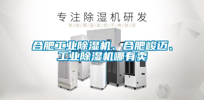 合肥工業除濕機、合肥峻邁、工業除濕機哪有賣