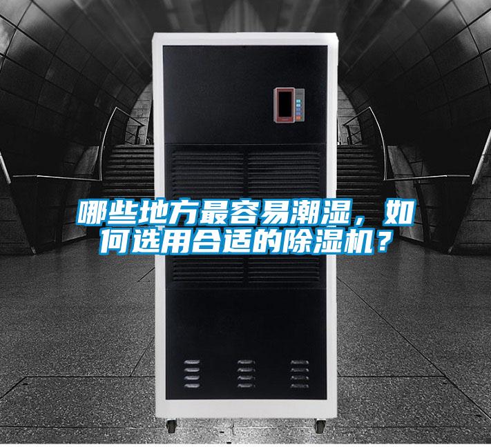 哪些地方最容易潮濕，如何選用合適的除濕機？