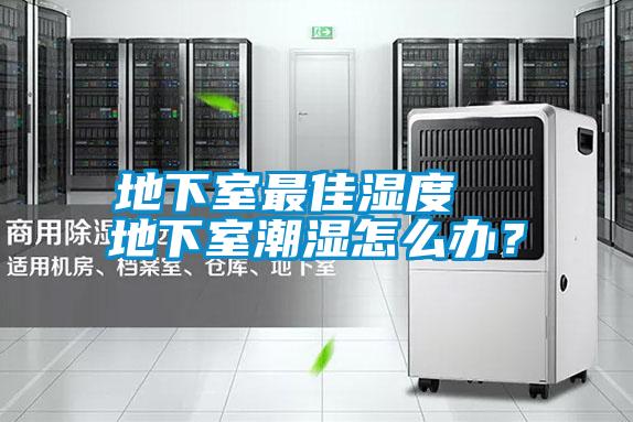 地下室最佳濕度  地下室潮濕怎么辦？