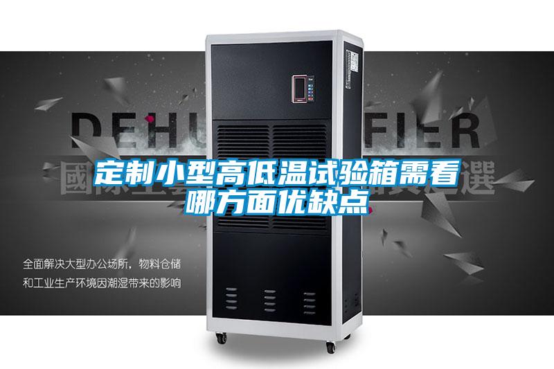 定制小型高低溫試驗箱需看哪方面優缺點