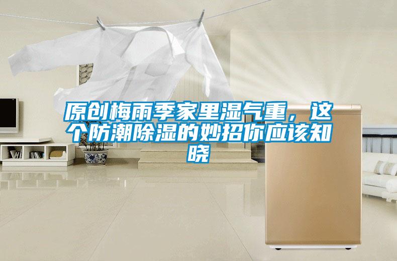 原創梅雨季家里濕氣重，這個防潮除濕的妙招你應該知曉