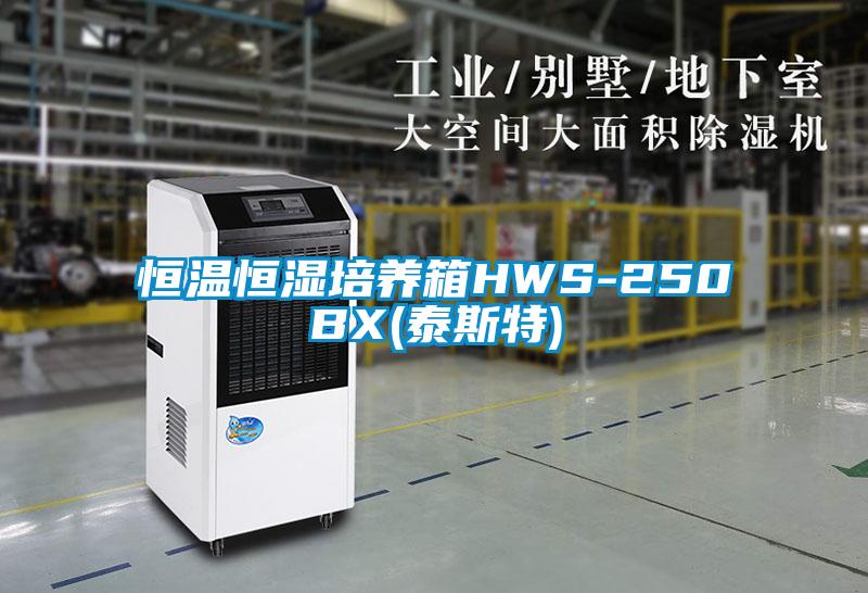 恒溫恒濕培養箱HWS-250BX(泰斯特)
