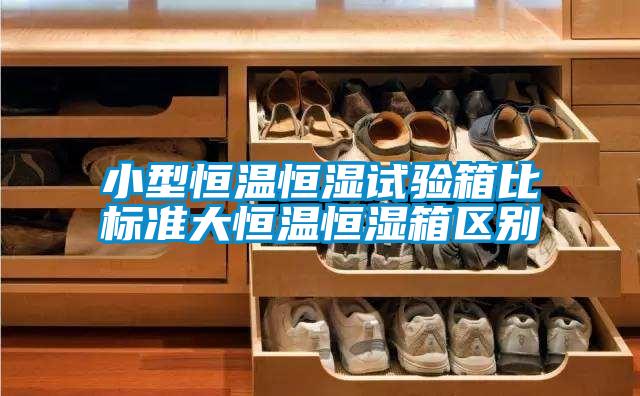 小型恒溫恒濕試驗箱比標準大恒溫恒濕箱區別