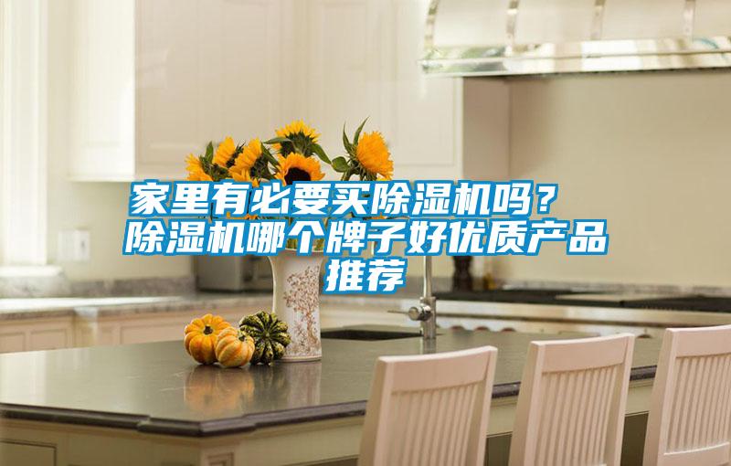 家里有必要買除濕機嗎？ 除濕機哪個牌子好優質產品推薦