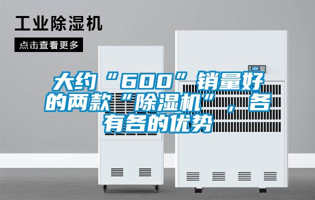 大約“600”銷量好的兩款“除濕機”，各有各的優勢