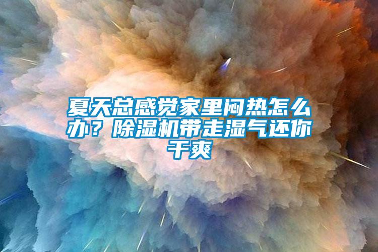 夏天總感覺家里悶熱怎么辦？除濕機帶走濕氣還你干爽