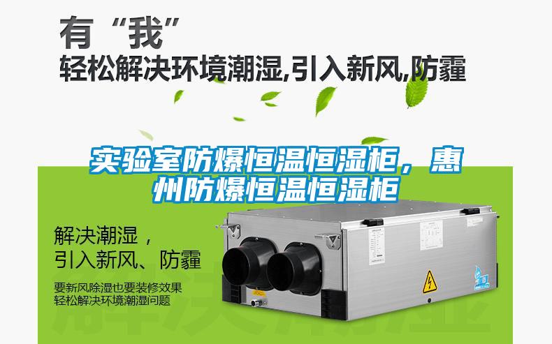 實驗室防爆恒溫恒濕柜，惠州防爆恒溫恒濕柜