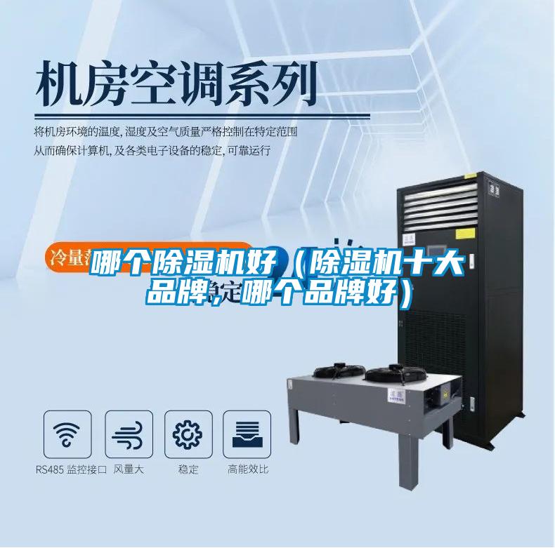 哪個除濕機好（除濕機十大品牌，哪個品牌好）