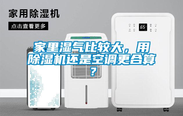 家里濕氣比較大，用除濕機還是空調更合算？
