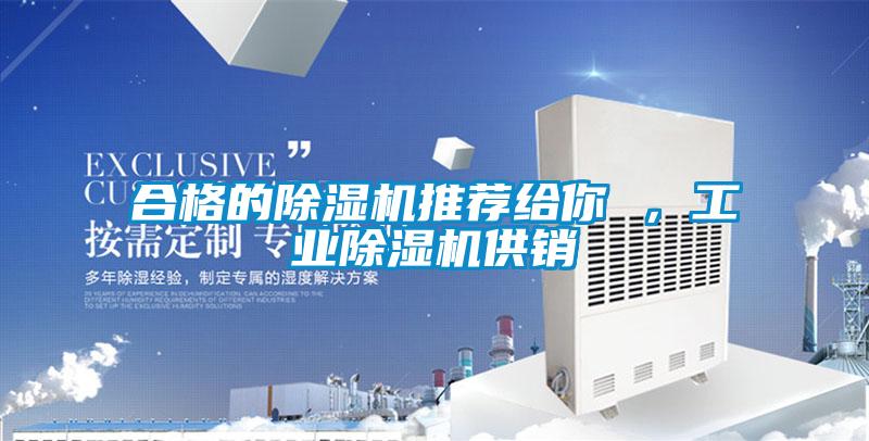 合格的除濕機推薦給你 ，工業除濕機供銷