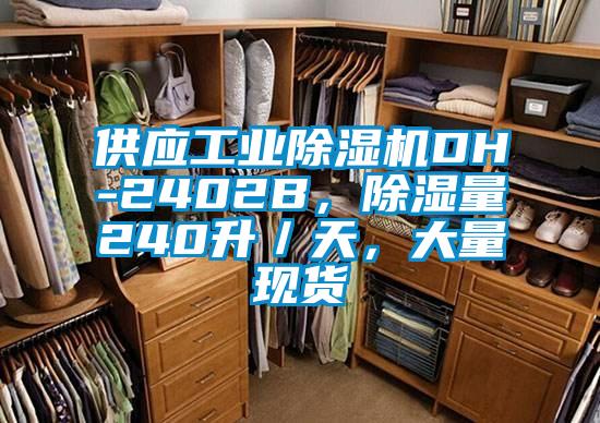 供應工業除濕機DH-2402B，除濕量240升／天，大量現貨