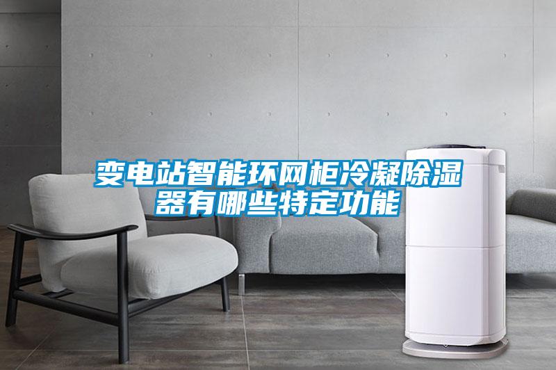 變電站智能環網柜冷凝除濕器有哪些特定功能