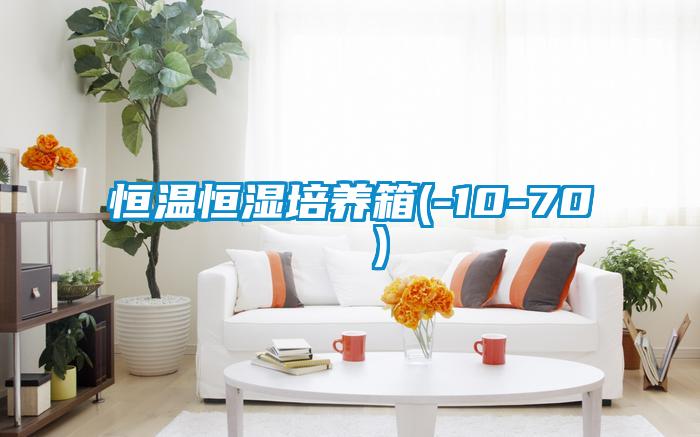 恒溫恒濕培養箱(-10-70 ℃）