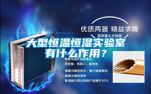 大型恒溫恒濕實驗室有什么作用？