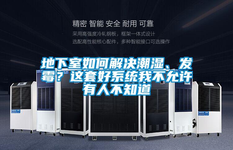 地下室如何解決潮濕、發霉？這套好系統我不允許有人不知道