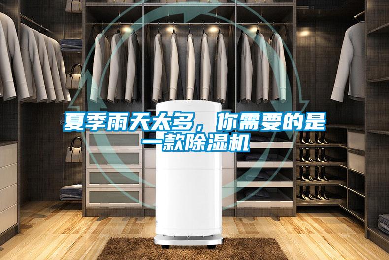 夏季雨天太多，你需要的是一款除濕機