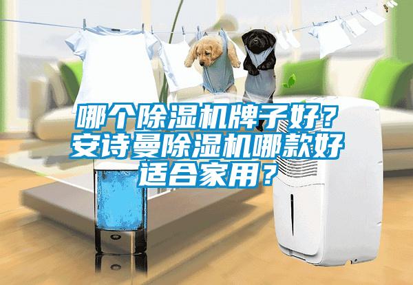 哪個除濕機牌子好？安詩曼除濕機哪款好適合家用？