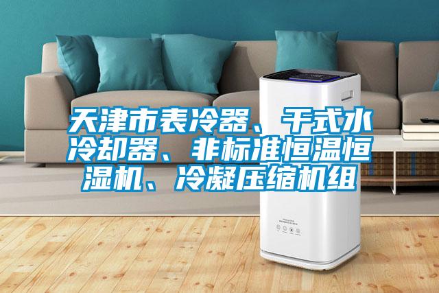 天津市表冷器、干式水冷卻器、非標準恒溫恒濕機、冷凝壓縮機組