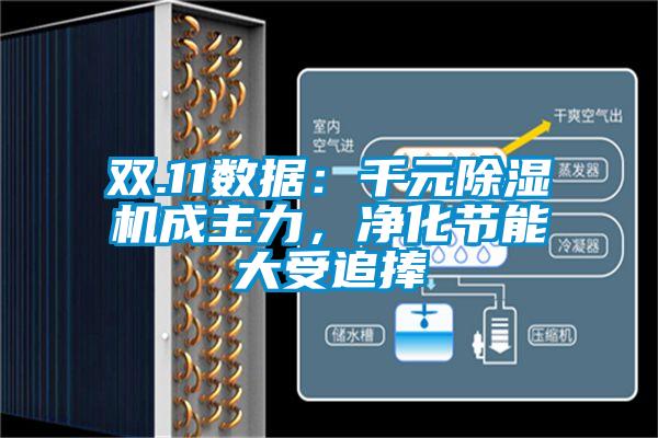 雙.11數據：千元除濕機成主力，凈化節能大受追捧