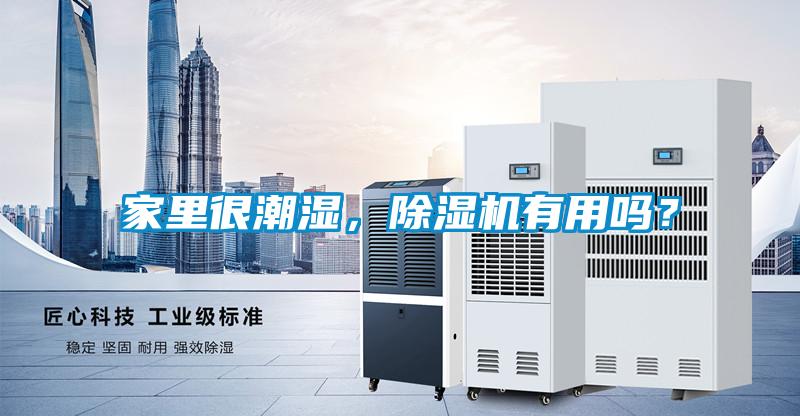 家里很潮濕，除濕機有用嗎？