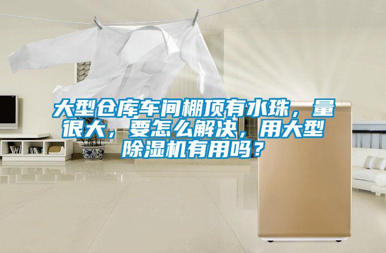 大型倉庫車間棚頂有水珠，量很大，要怎么解決，用大型除濕機有用嗎？