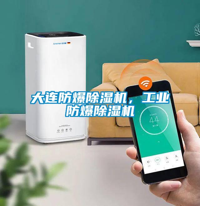 大連防爆除濕機，工業防爆除濕機