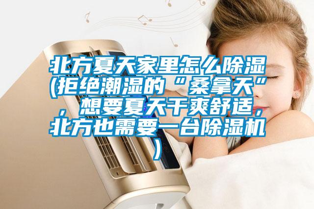 北方夏天家里怎么除濕(拒絕潮濕的“桑拿天”，想要夏天干爽舒適，北方也需要一臺除濕機)