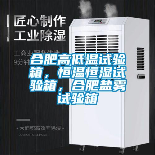 合肥高低溫試驗箱，恒溫恒濕試驗箱，合肥鹽霧試驗箱