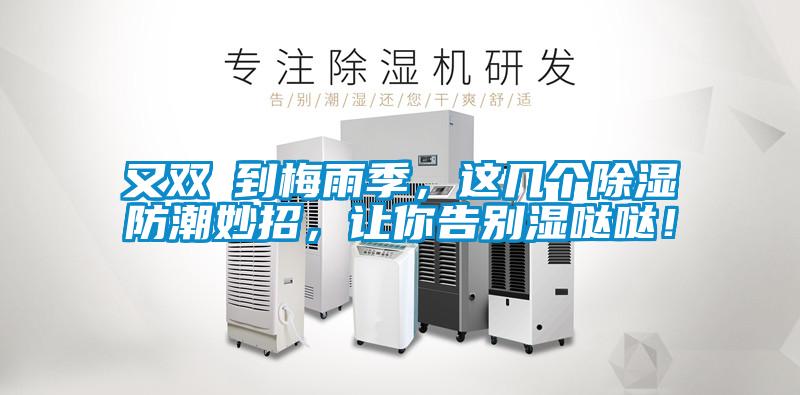 又雙叒到梅雨季，這幾個除濕防潮妙招，讓你告別濕噠噠！