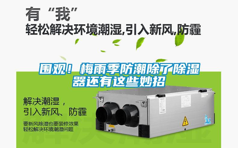 圍觀！梅雨季防潮除了除濕器還有這些妙招