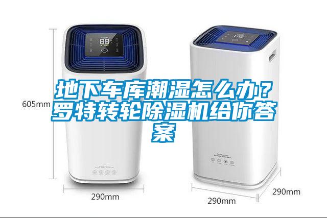 地下車庫潮濕怎么辦？羅特轉輪除濕機給你答案