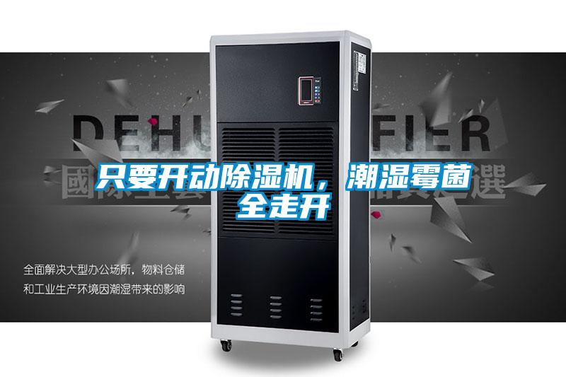 只要開動除濕機，潮濕霉菌全走開